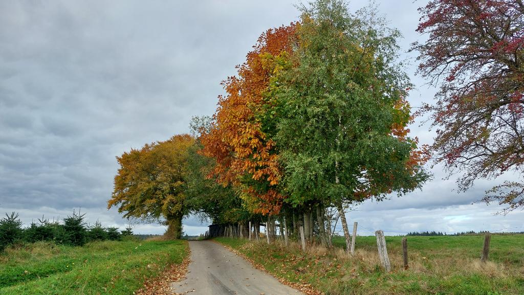 #vrtweer #petitfays 15.30u