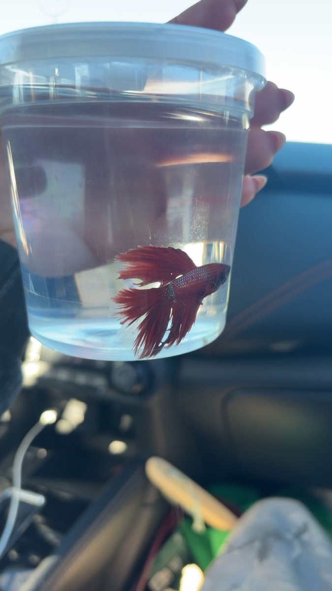 ohkaitlynn's tweet photo. everyone meet swim shady https://t.co/9w0wW2Eqtp