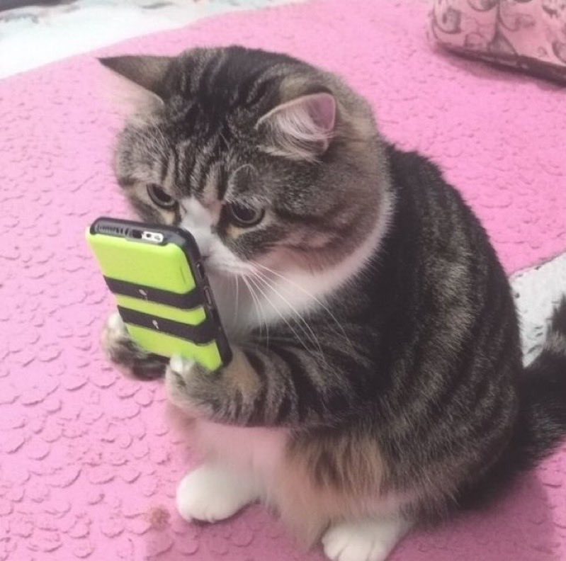 Gm fam ⛩️

Don’t look at the charts and go touch some grass for the weekend 😂