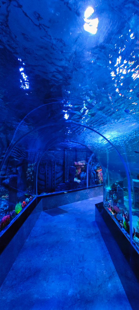 In every romcom anime in 8th or 9th episode you will find this type of Aquarium date scene and that part is missing from my life lol 💀