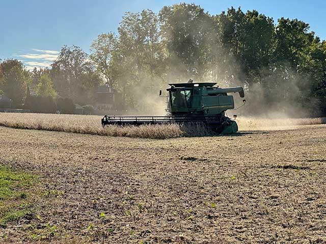 Elaine Shein (@elaineshein) on Twitter photo Under the Agridome by <a href="/Agridome/">Philip Shaw</a> : Without USDA Reports, Watch Future Spread and Basis for Crop Clues dtnpf.com/agriculture/we… Under the Agridome by <a href="/Agridome/">Philip Shaw</a> : Without USDA Reports, Watch Future Spread and Basis for Crop Clues dtnpf.com/agriculture/we…