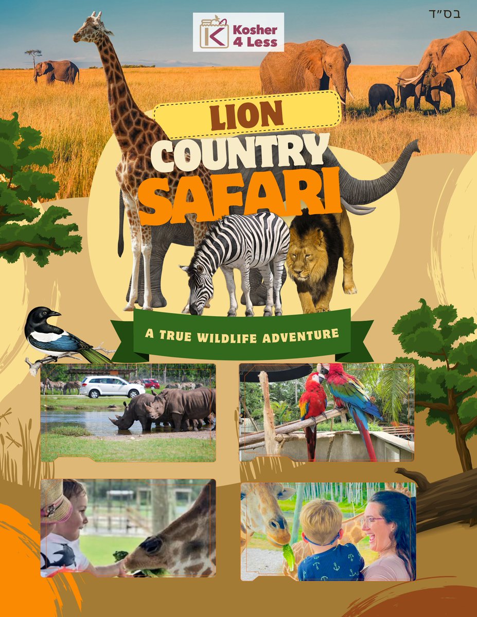 Kosher4Less's tweet image. Thank you to everyone who joined our Post-Sukkot Trip to Lion Country Safari! 🦁🐘
It was incredible to have over 50 of us come together to enjoy a day surrounded by the wonders of Hashem’s creations. 🌿
Stay tuned — more great community events are on the way!