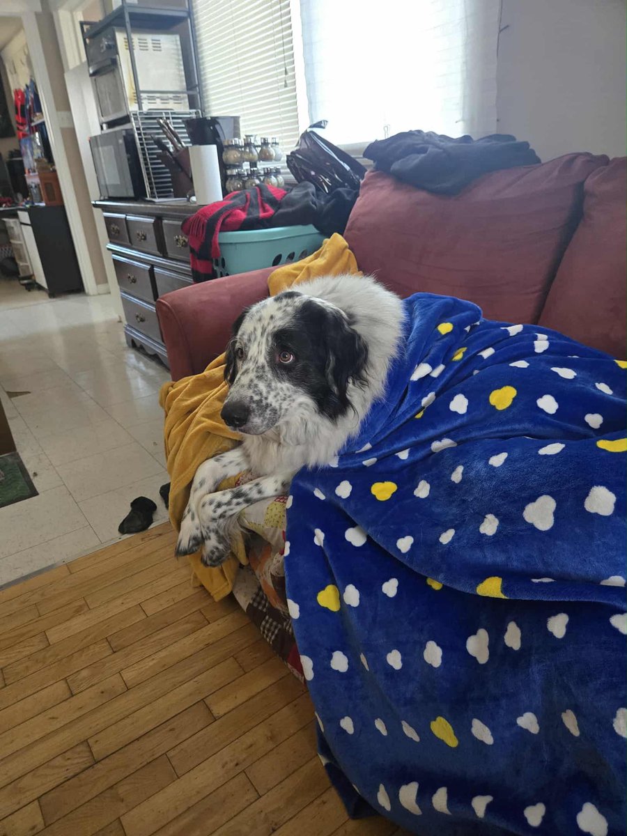 So anyways…Wyatt is not a fan of horror movies 💀