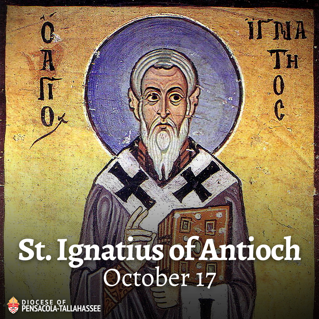 Diocese of Pensacola-Tallahassee tweet media