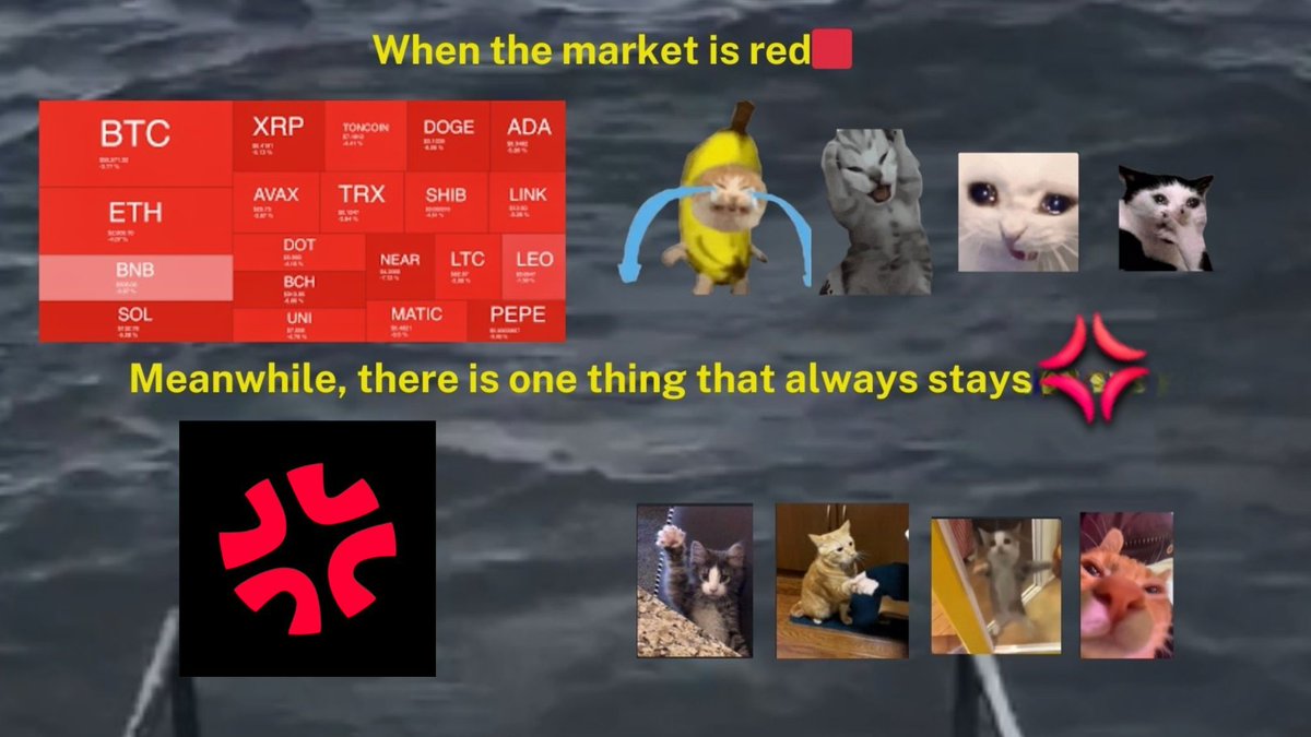 Regardless of how the market trembles, something always stays 💢