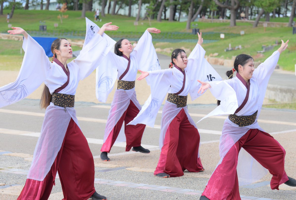 2025.10.13
第21回ゑぇじゃないか祭り
石舞台会場
四天王寺大学 仏喜踊さん

まもなく活動を終了される仏喜踊さんの最後の外部イベント
しっかり目に焼き付けました

#ゑぇじゃないか祭り #よさこい #仏喜踊