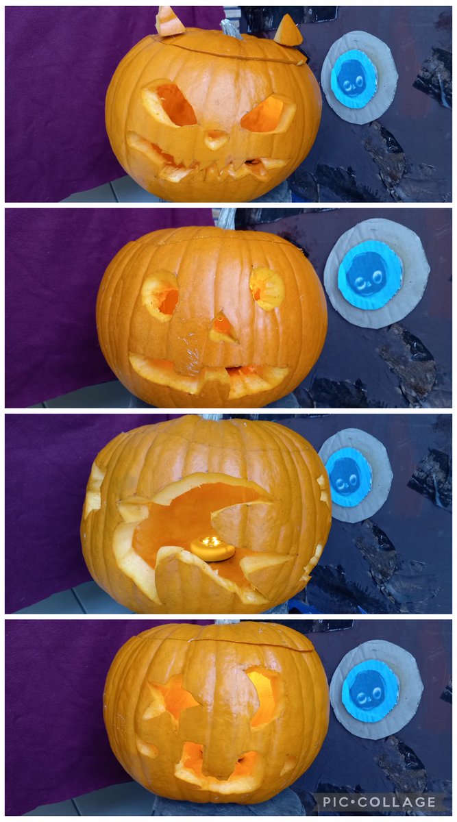 The winning pupil designs for the pumpkin carving competition were carved yesterday! I think they are brilliant! 🎃 We grew the pumpkins in our quad allotments. Which one is your favourite? The pupils are voting…