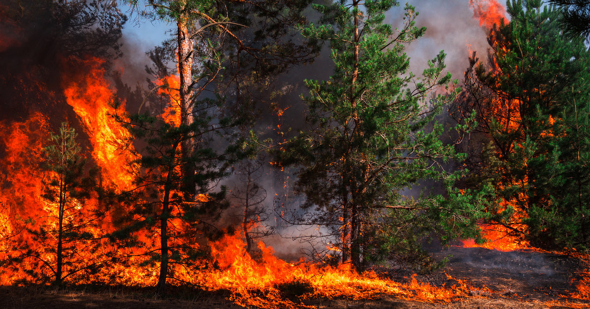 Service départemental d'incendie et de secours (SDIS) du Loiret - Le risque feux de forêt

📚 Rapport d’observations de la Chambre régionale des comptes « Centre-Val de Loire ». 

ccomptes.fr/fr/publication…
