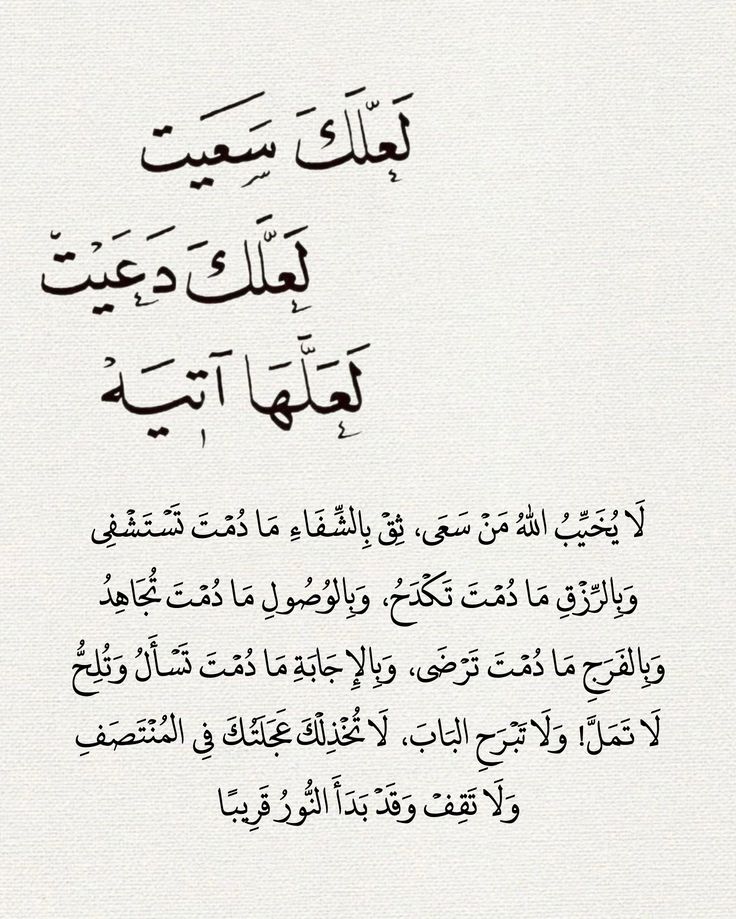 تاريخ وحضارة (@1il5i) on Twitter photo 