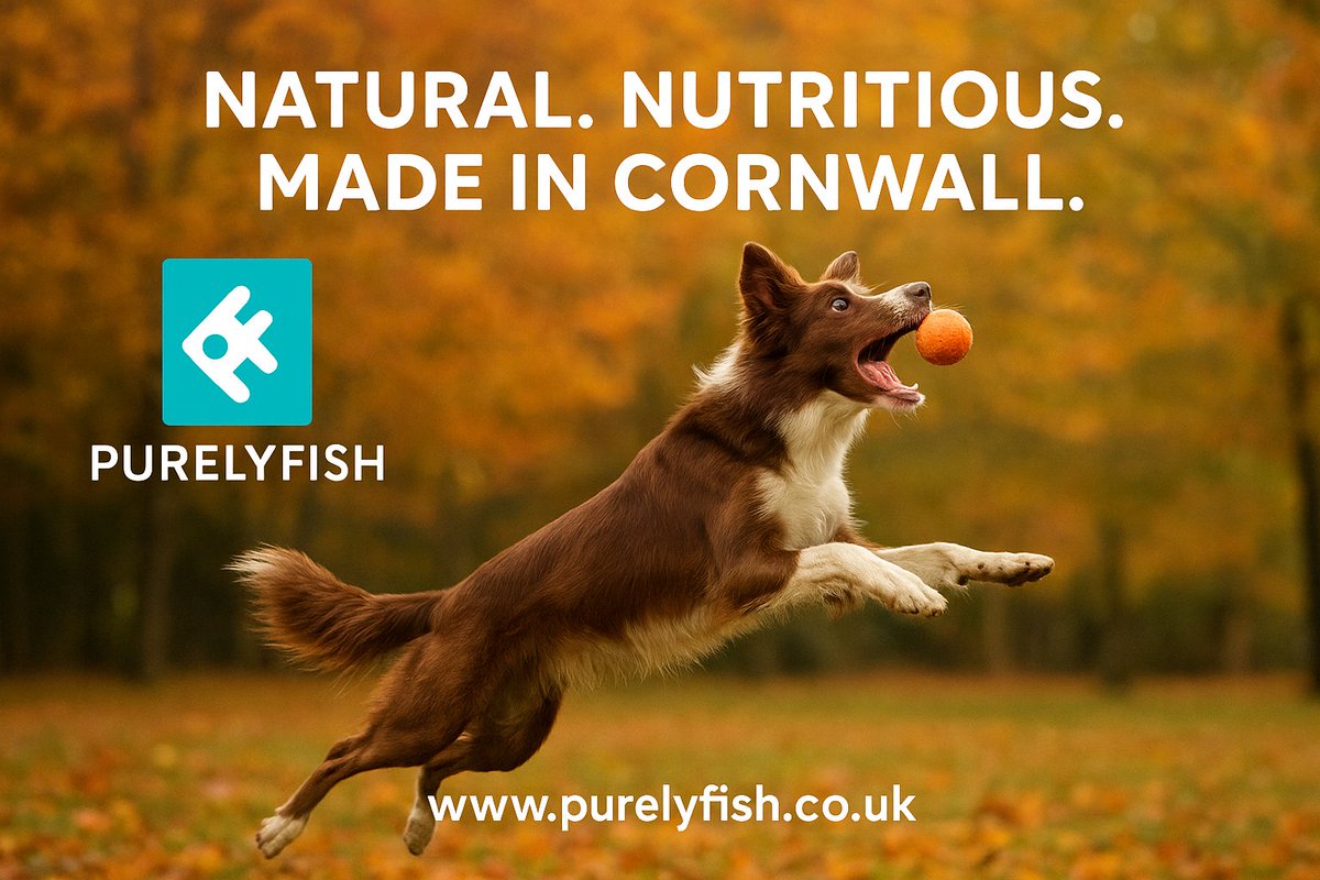 Purely Fish tweet media