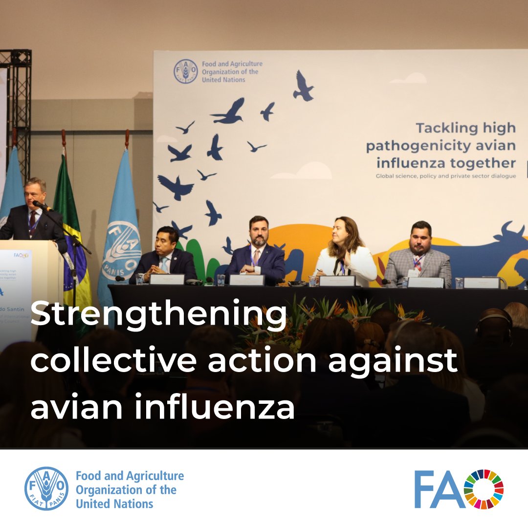 🌍 Countries and partners adopt the Iguaçu statement to strengthen global action against #AvianInfluenza.

Together, we commit to prevent, detect, and respond to this growing threat to animals, people, and livelihoods.

👉bit.ly/4qeJ3SH
