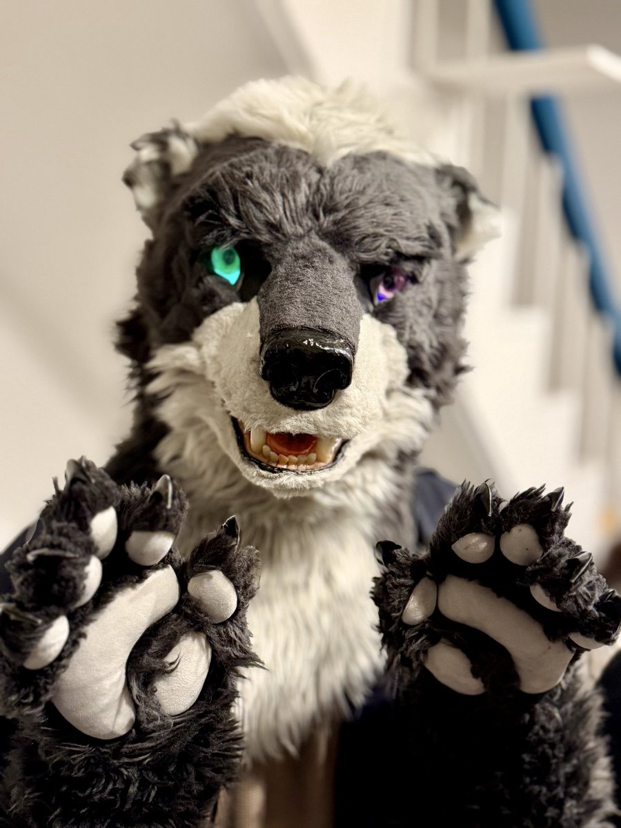 Visited the <a href="/asakusa_wolf/">浅草交差点-Limited-</a> bar again with <a href="/eps_ham/">ハム Ham</a> and @mahkunkawakami. Met okami himself and made new friends :) <a href="/Ut_Esc109/">주니🐻Jooni🎗🔜Fur:raid,INFURNITY,kemocon,FURSTCLASS</a> :)