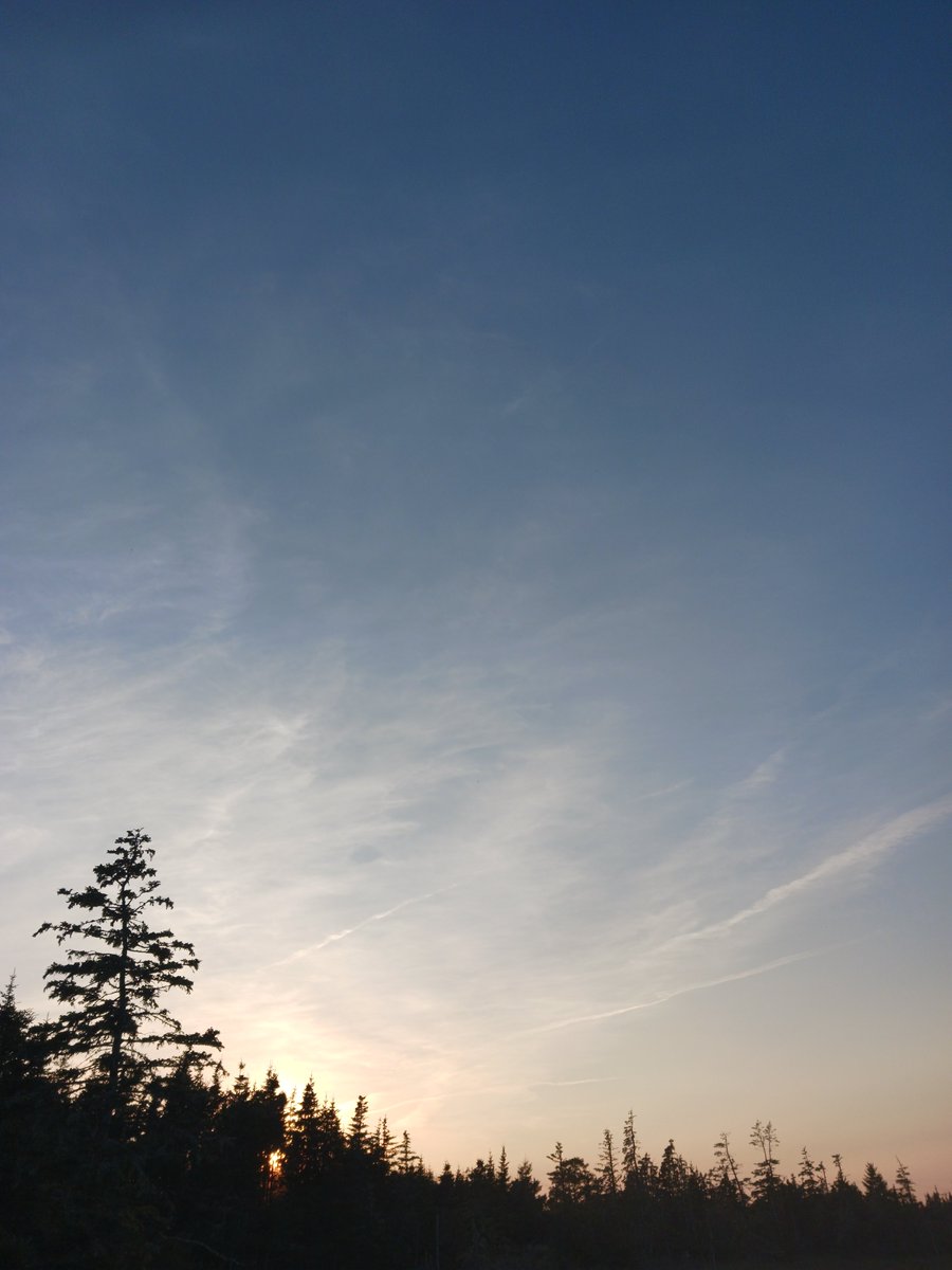 ImagesCoast's tweet image. R U Blind?
Look up to see the jet aircraft pollution over Nova Scotia Canada September 16th 2025  
#chemtrails #contrails #RUblind