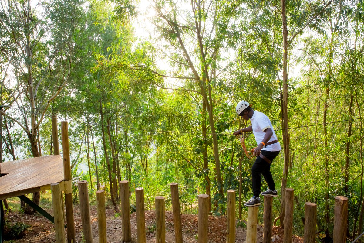365Rwanda's tweet photo. There’s so much more to Rwanda than gorillas. From Lake Kivu’s calm shores to Nyungwe’s rainforest canopy, Kigali’s green escapes, Nyanza’s royal past, and Akagera’s wild plains — every region tells its own story.
Read more: https://t.co/pke9M9tOvv
#VisitRwanda #365Rwanda https://t.co/8f3lRgVgix