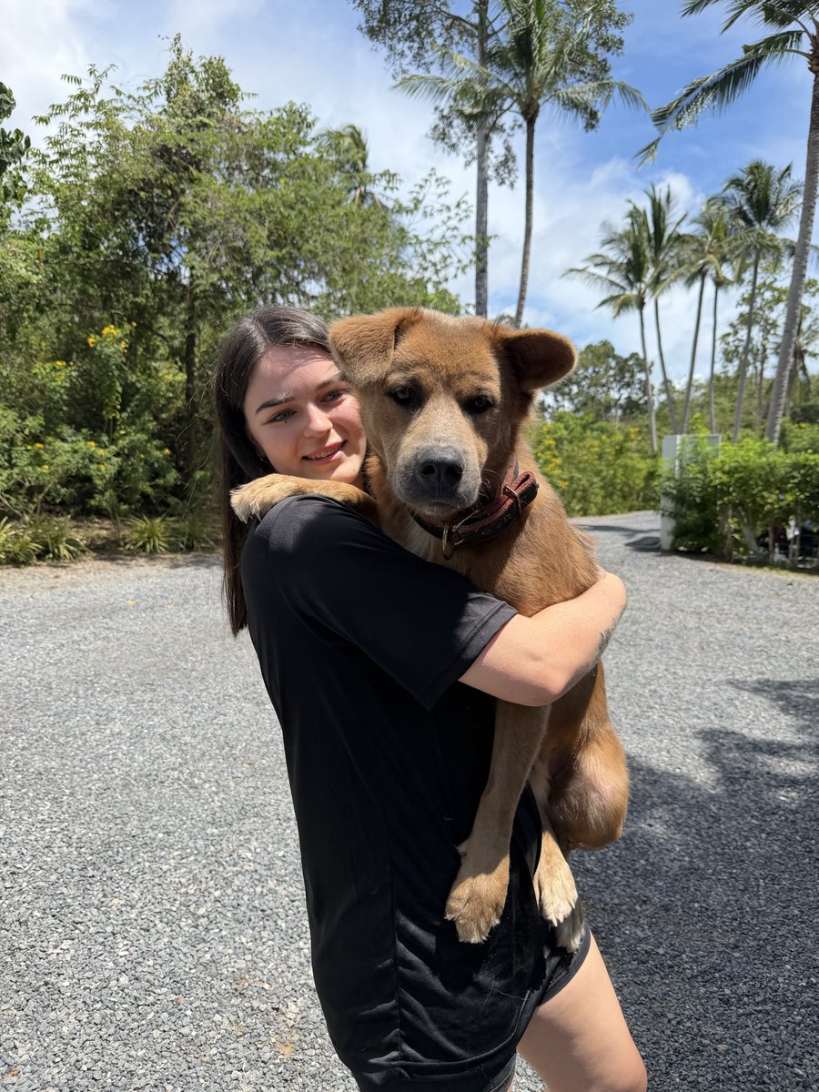 NiallHarbison's tweet image. Twix was a dog I fed on the streets and raised as a puppy. He vanished 4 months ago. 

We found him 40 yards from where Big Mac had his last swim before he died. 

I’m not religious but the world works in mysterious ways. A parting gift from the big guy? You’d have to think so❤️