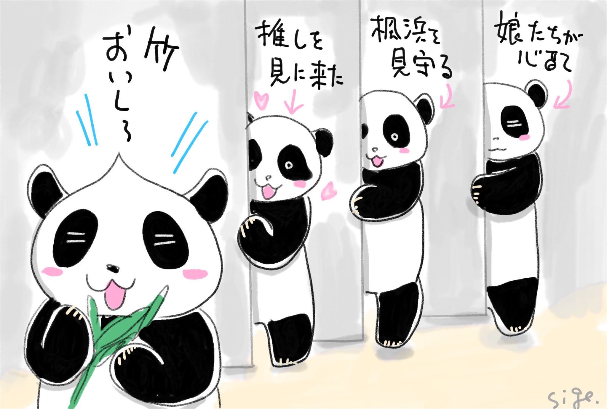 紀伊民報連載　ありがとうパンダ 宝島社 otona MUSE オトナミューズ 雑誌 付録 紀伊国屋×ケイタ