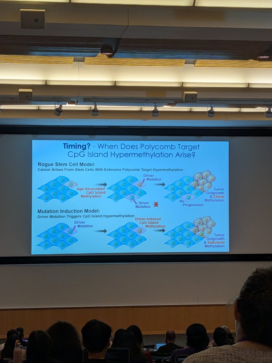 Sanjana Ananth tweet media