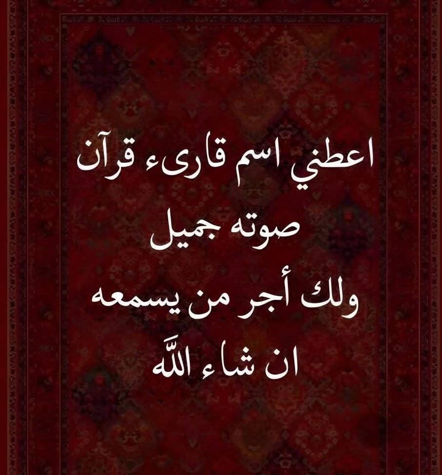 ابو راشد tweet media