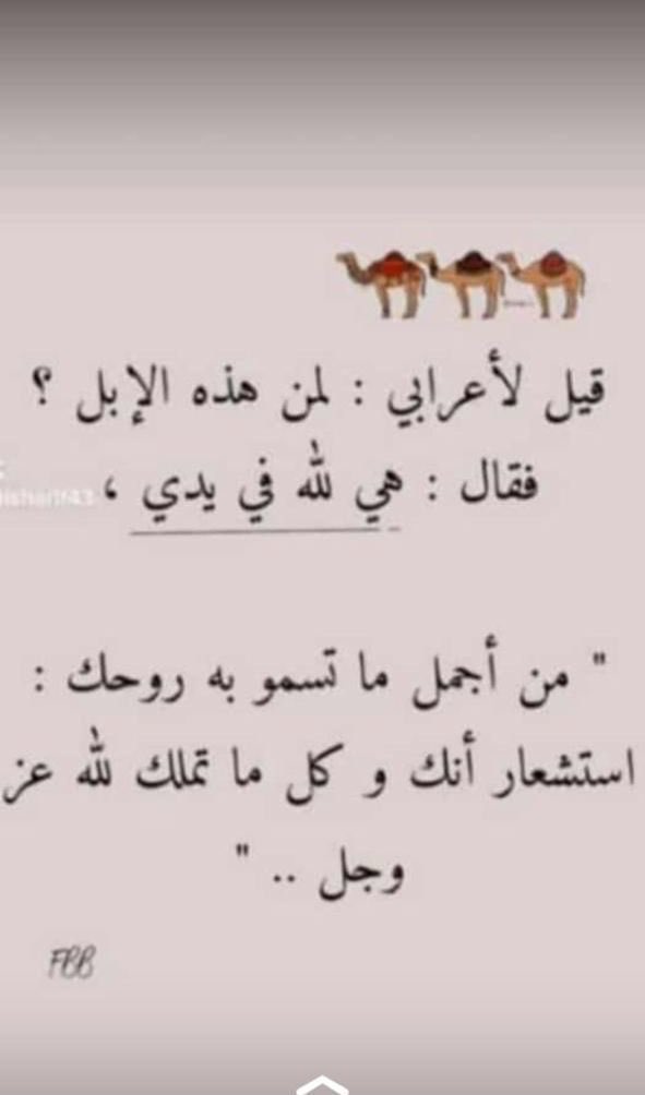 seraj511's tweet photo. https://t.co/stQ2PdULHd