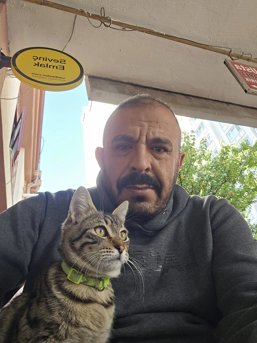 Yoğun iş arasında, kedi kişisi ile çay kahve beraber takılıyoruz :))