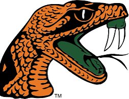 I will be at famu today 🧡💚