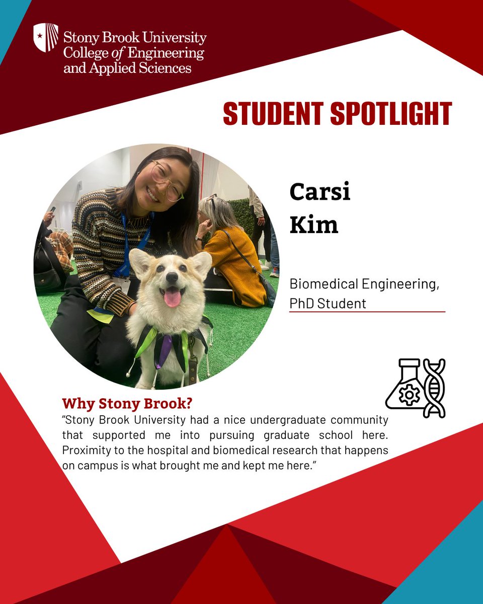 @bmestonybrook tweet media