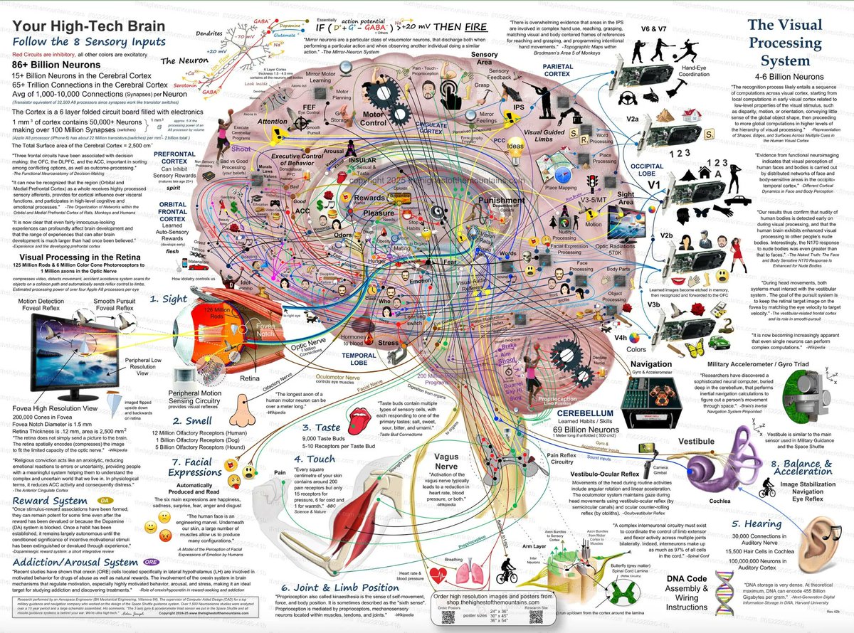 hot take: AI should learn like the human brain.
it sees things (computer vision)
it touches things (sensing)
it tastes things (electronic tongues)
it hears things (audio)
it smells things (digital smell)

not just through large language models (LLMs).