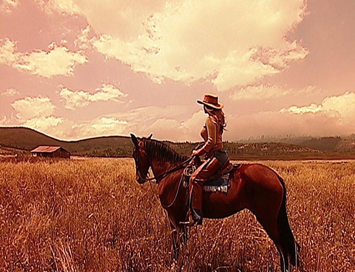 PasdeGavilanes's tweet photo. #PasiónDeGavilanes #PDG99 Ruth se adentra en los terrenos de los Rosales y termina siendo capturada. https://t.co/CbvJxDgVbd