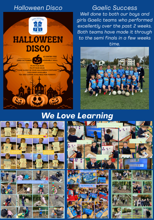 Good Shepherd Primary School tweet media