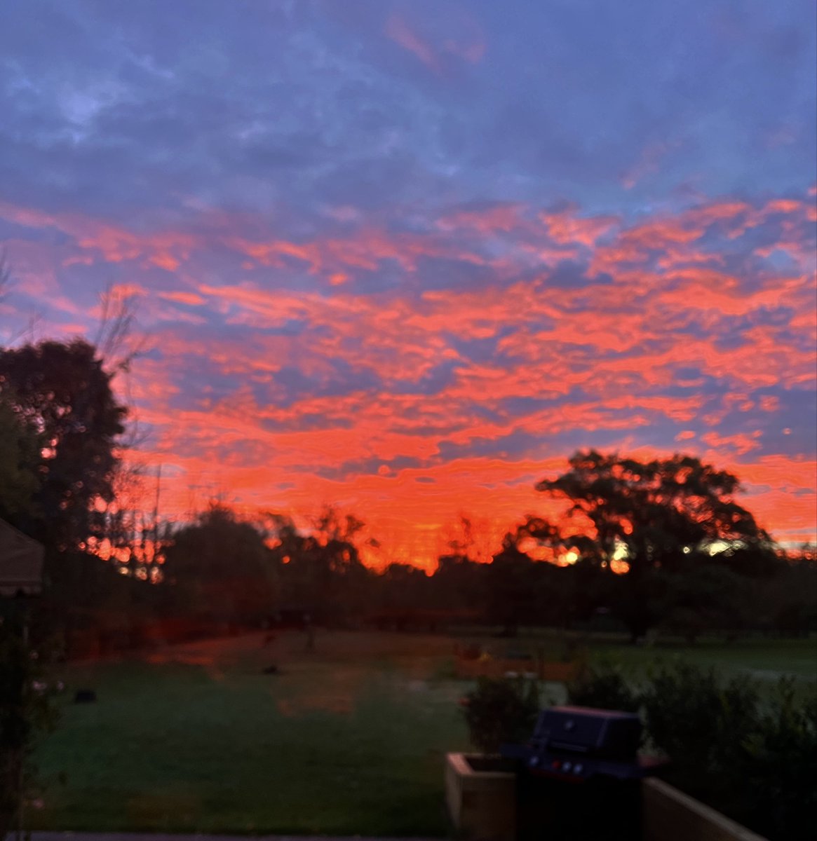 716-CrazyBillsChick tweet media