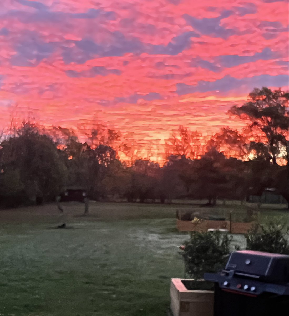 716-CrazyBillsChick tweet media