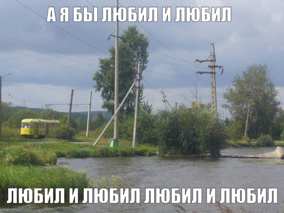 миша (@vereskzhizha) on Twitter photo 