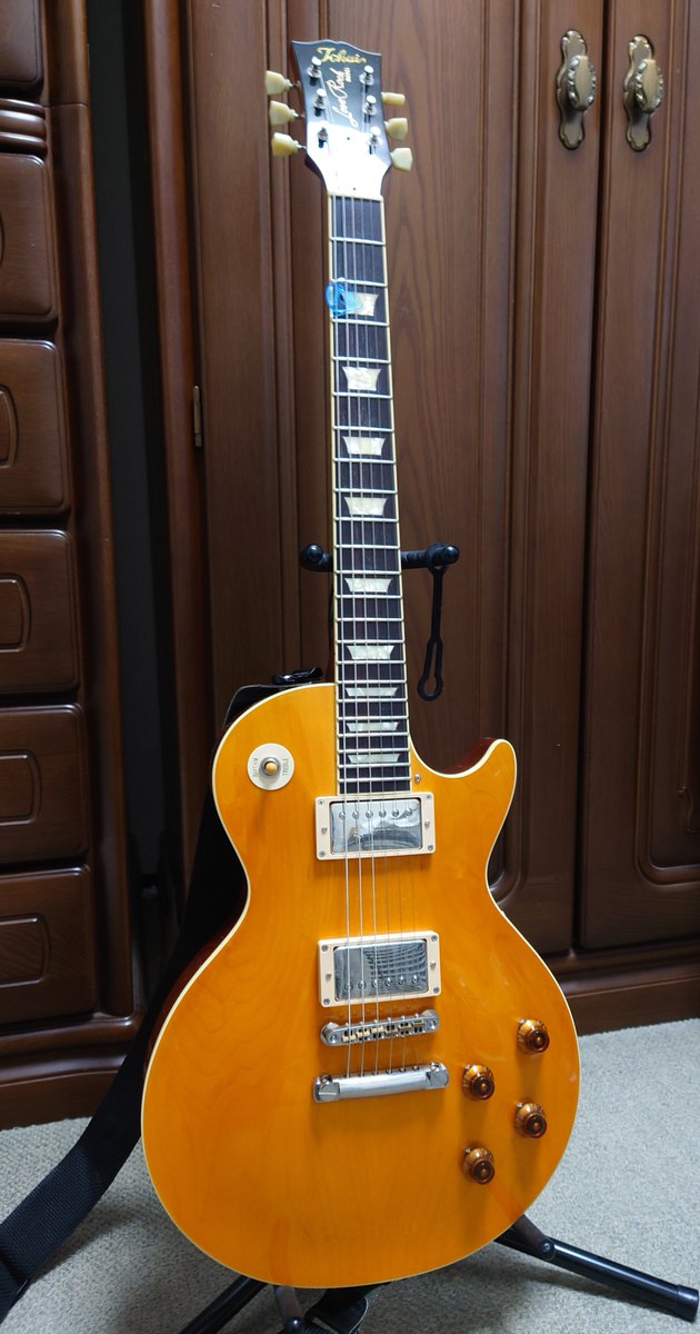 ピックガードとったのがこれ（笑）
LS-201