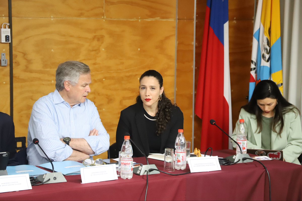 Desde Valdivia, nuestro vicepresidente, Dr. Mauricio Osorio, junto al presidente del Consejo Regional Los Ríos, Dr. Pablo Flores, participan en la sesión de la Comisión de Salud del Senado, donde se discuten temas clave: Ley de Salud Mental, Cáncer, Campos Clínicos y desafíos