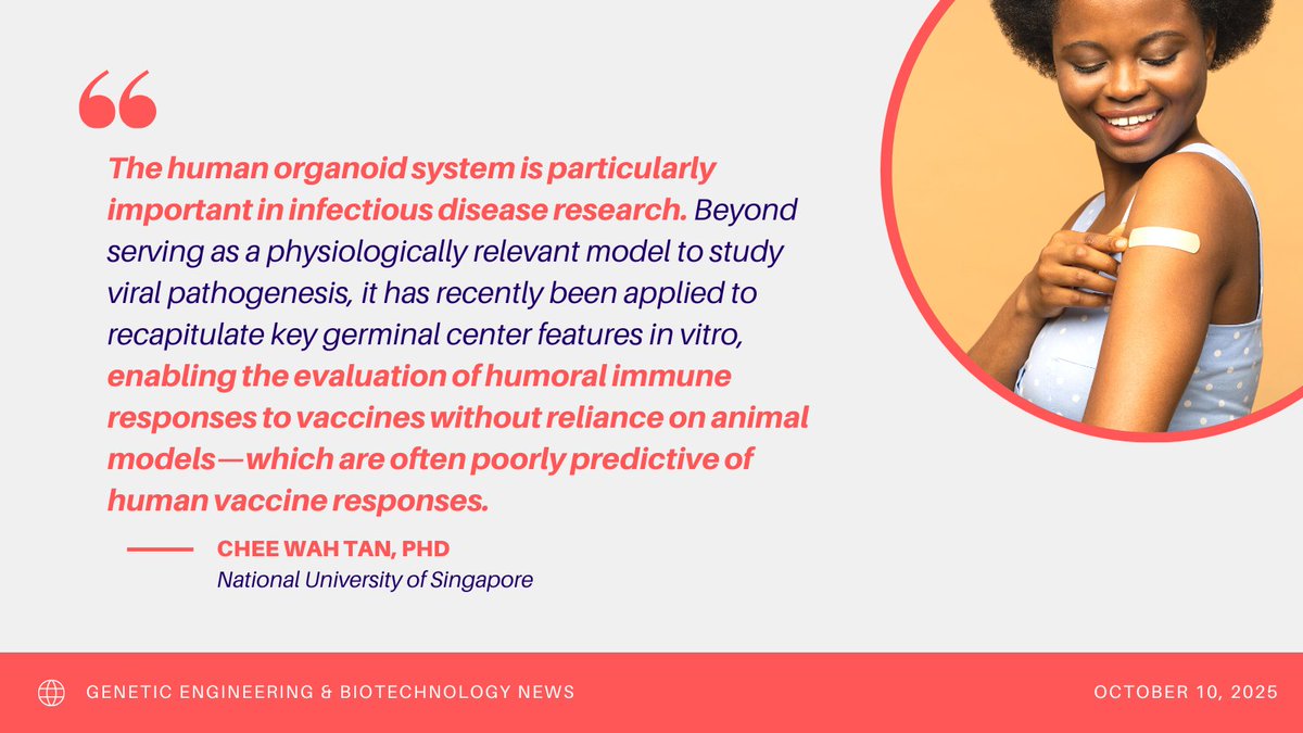 SAOscience's tweet image. This @GENbio article explores how organoid technology is advancing exposomics and immunology research, and how emerging AI tools are enhancing downstream data analysis.
Featuring research from:
🧑🔬 Mark A. Davis of @StanfordMed
🧑🔬 @Dr_ASingh (@SinghLabGT) of @MEGeorgiaTech &…