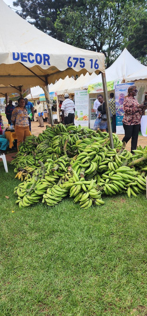 Nina Forgwe tweet media