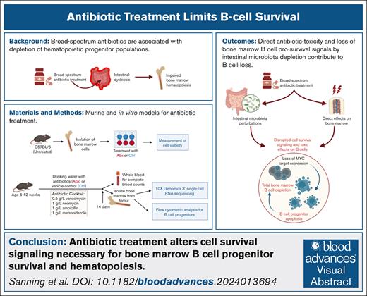Blood Journal (@bloodjournal) on Twitter photo A substantial depletion of bone marrow B-cell progenitor populations occurs after long-term broad-spectrum antibiotic therapy. Read the full article in Blood Advances: ow.ly/45Wi50XbKBi A substantial depletion of bone marrow B-cell progenitor populations occurs after long-term broad-spectrum antibiotic therapy. Read the full article in Blood Advances: ow.ly/45Wi50XbKBi
