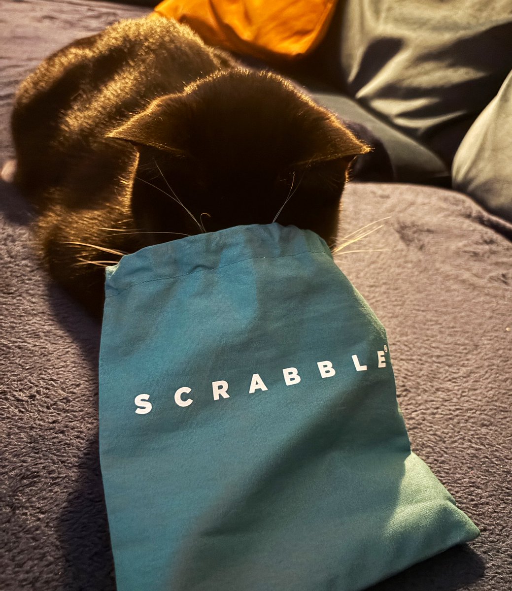 caesar_saladcat's tweet photo. Scrabbling around - MEOW 100 million points - I win! 😸#FuntimeFriday #CatsOfX #Caesarking https://t.co/1BS0xl8Gnx