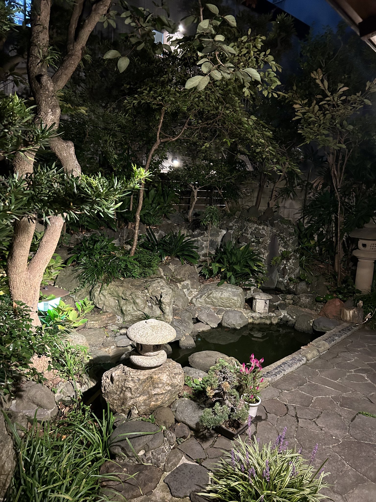 【廃盤レア】『天の高みへ』『カーネーションの卵』シルヴァーノ・アゴスティ監督 廃盤レア】『天の高みへ』『カーネーションの卵』シルヴァーノ