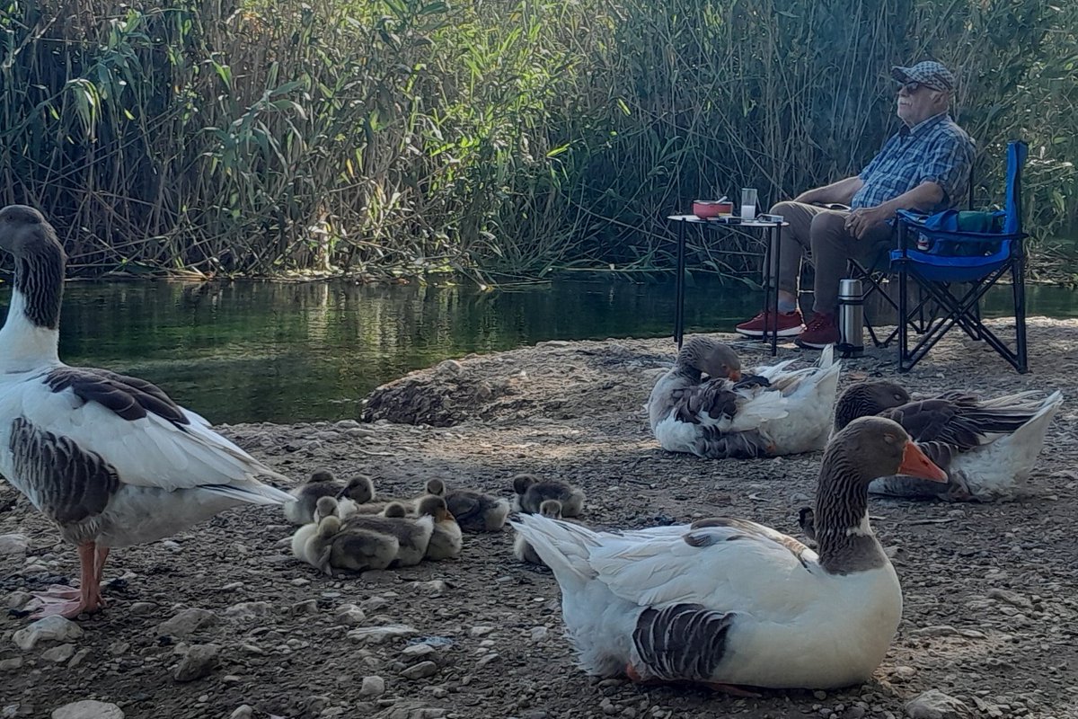 "gençliğimde acı veren,yaşlılık yıllarımda ise 
tadına doyulmaz bir yalnızlık yaşıyorum."diyor aynştayn
tam o durumdayım