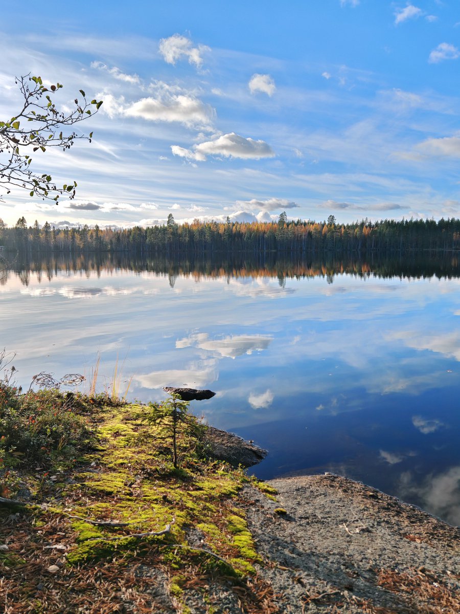 Iltapäivän lenkki Laulavan mörön polulla #Äänekoski