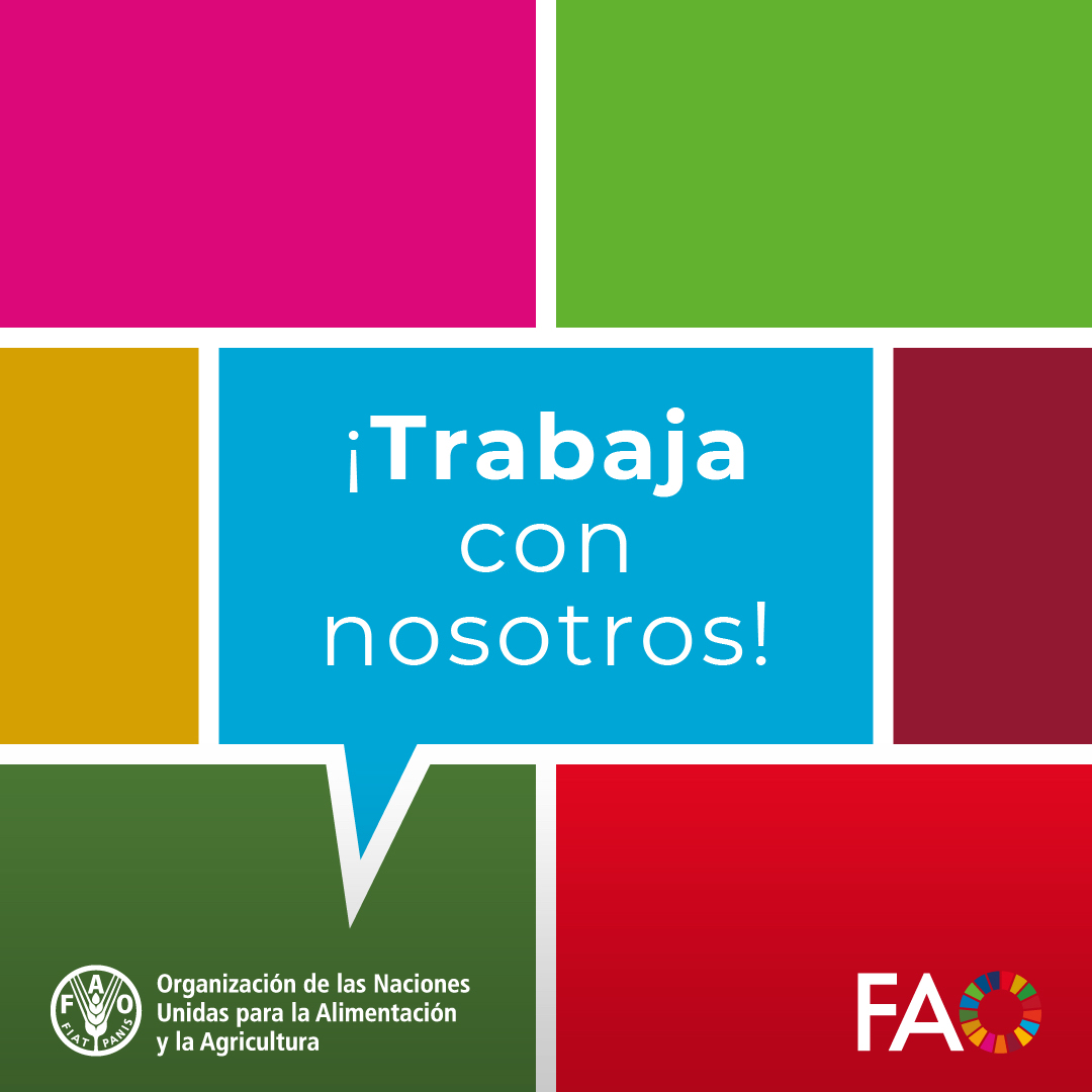 📄OPORTUNIDAD DE EMPLEO

<a href="/FAOHonduras/">FAO HONDURAS</a> requiere contratar: 

Administrative Assistant
Staff position

📍Sede: Tegucigalpa, Honduras

Aplica aquí👇
jobs.fao.org/careersection/…
