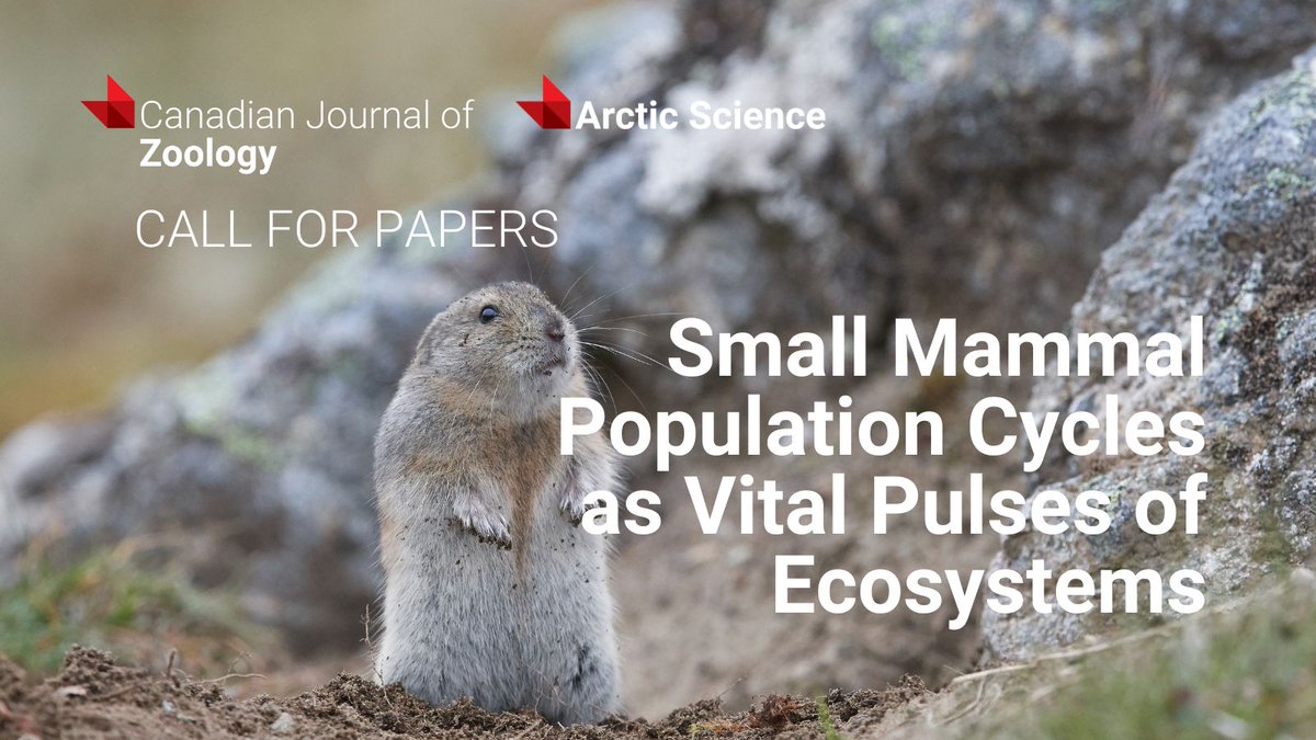 cdnsciencepub's tweet image. Explore small mammal population dynamics as ecosystem pulses, address multifactorial drivers, and contribute to research on seasonality and climate effects by submitting to @ArcticScienceJ or @CanJZoology ▶️ ow.ly/ovCL50VX9Ev
🗓️ Submit by Nov 15, 2025
📷 Fabrice Simon