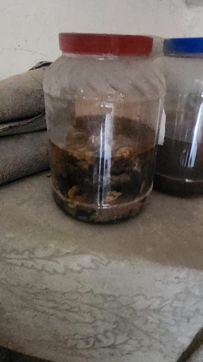 Osint613's tweet image. GAZA: Palestinians discovered a cache of well-preserved human organs inside a residence on Al-Nasr Street in Gaza City.
@Philipp27960841