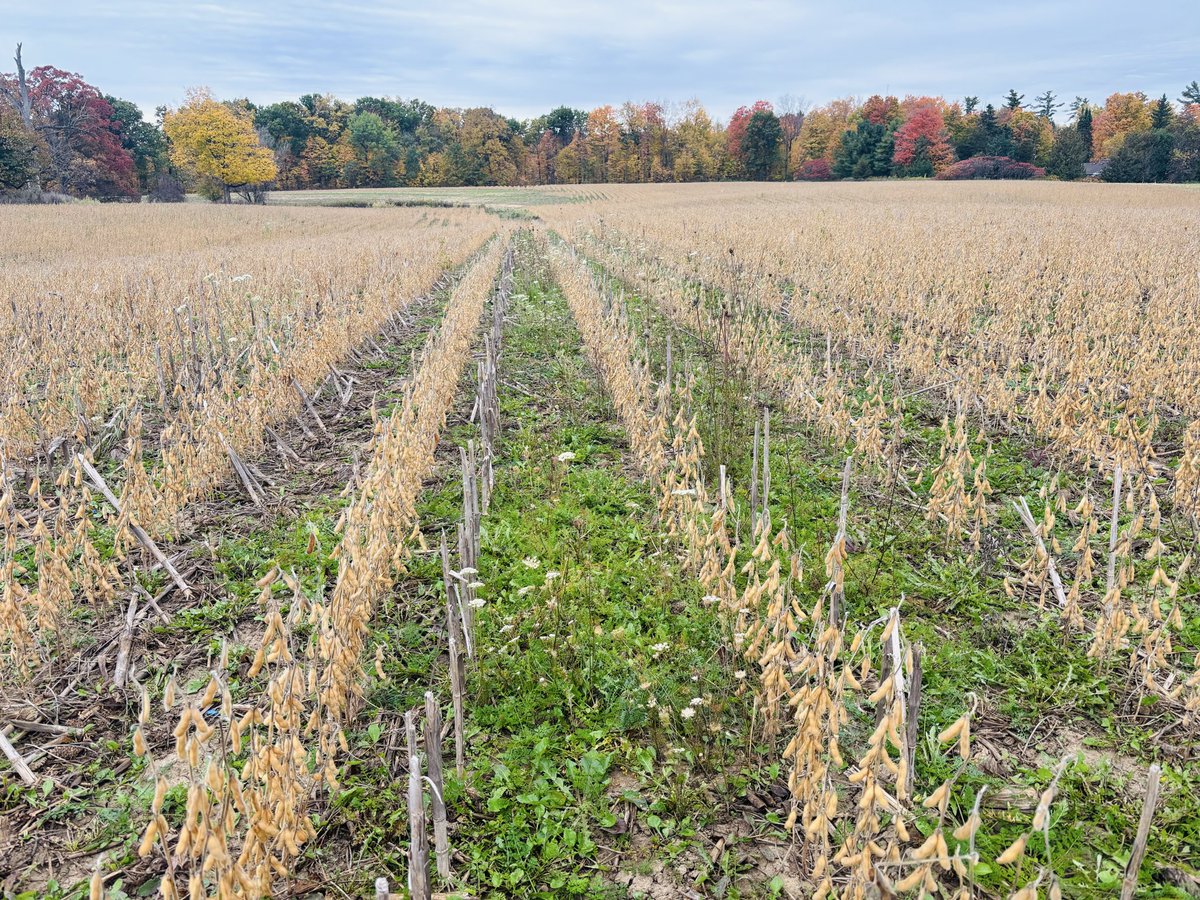 Meagan Ioi CCA-ON tweet media