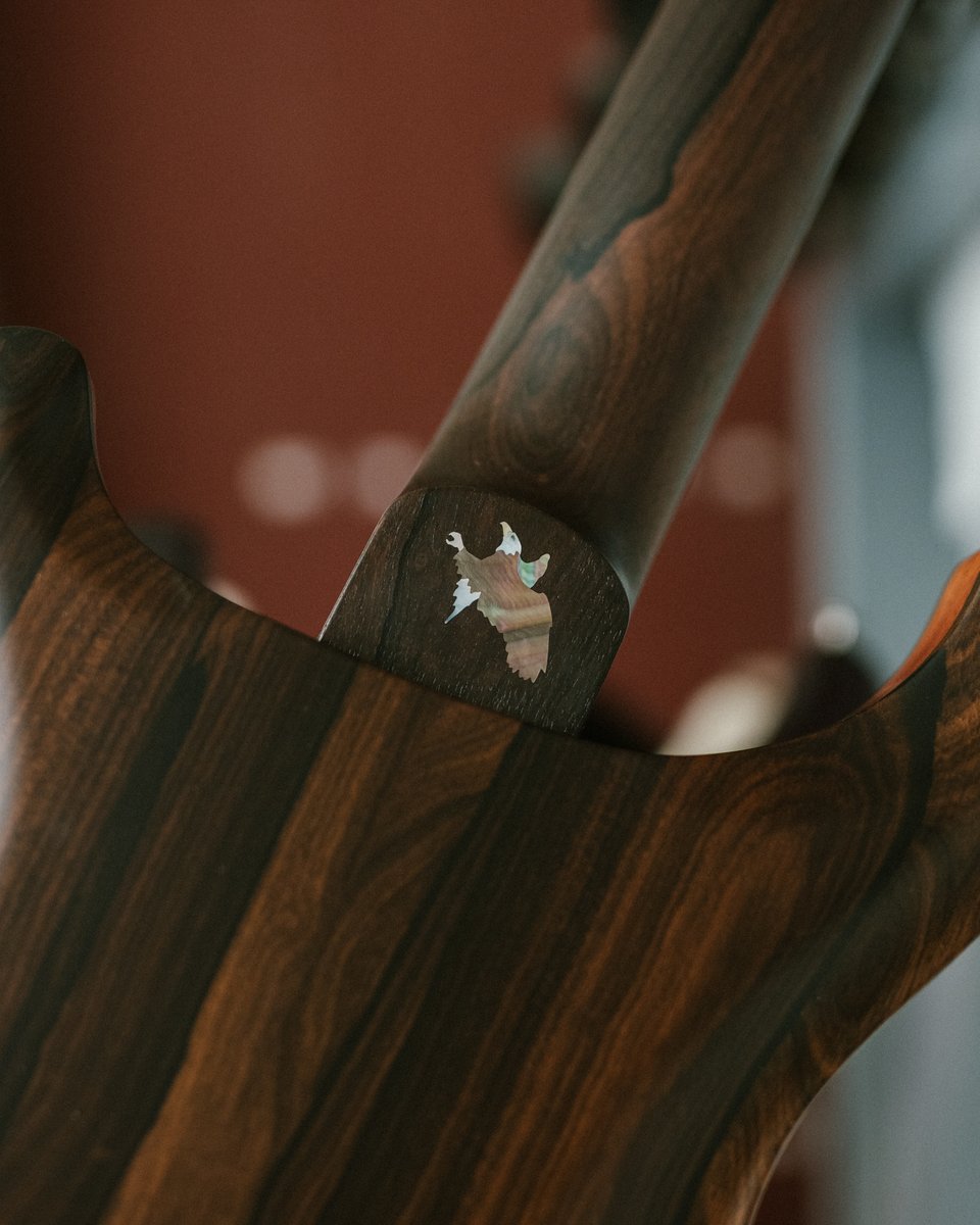 Birds eye maple pickup covers take this high contrast natural guitar to the next level 🪶 Happy #privatestockfriday!