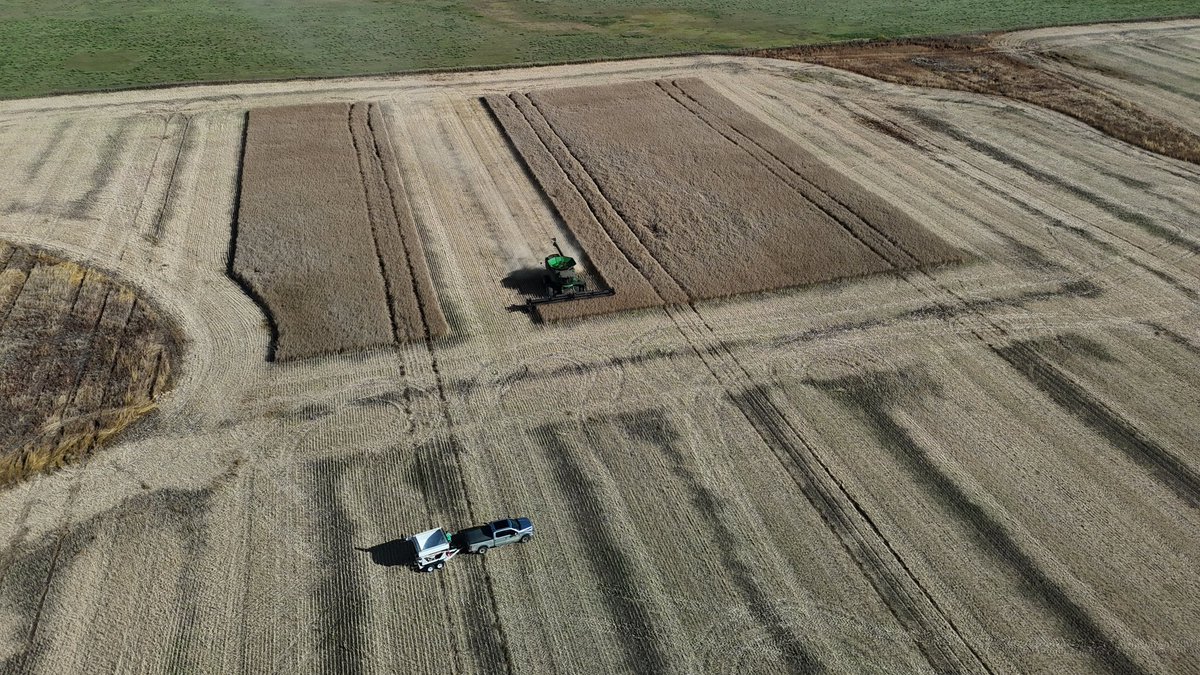 Mike Partyka tweet media