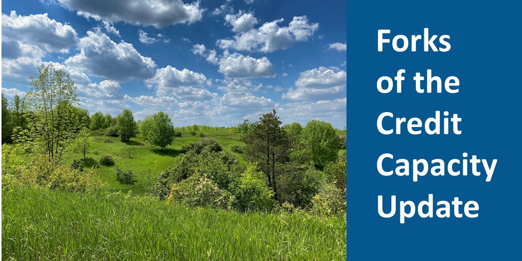 Forks of the Credit Day Use Capacity Update:
- Fri, Oct 17: 5% full.
- Sat, Oct 18: 20% full.
- Sun, Oct 19: 3% full.

Reservations must be made before visiting the park.

Check out our blog for a how-to on guaranteeing your entry: reservations.ontarioparks.com