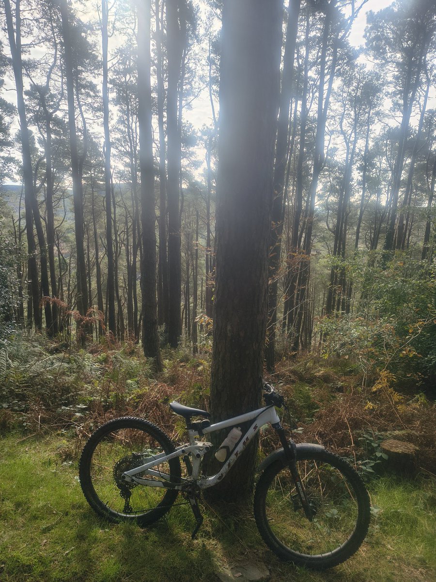 tokesurf76's tweet photo. A fun run @ #YWal today. #ZigZags is such a gooood descent! ππ΅π»π¨π€ @Absolutemtb1 @UKMTB_Chat https://t.co/9Eel672QB8