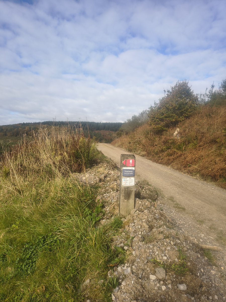 tokesurf76's tweet photo. A fun run @ #YWal today. #ZigZags is such a gooood descent! ππ΅π»π¨π€ @Absolutemtb1 @UKMTB_Chat https://t.co/9Eel672QB8